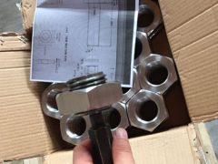 गो नो गो गेज