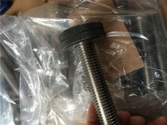 गो नो गो गेज